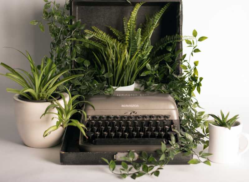 Photo of a typewriter surrounded by plants used to illustrate why someone should work with me as a business writer.